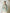 Jade Serenity Organza Set- HP27