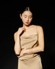 Silk Slip Dress - Brown HP66