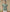 Silken Grace Ruffled Set - Green HP41